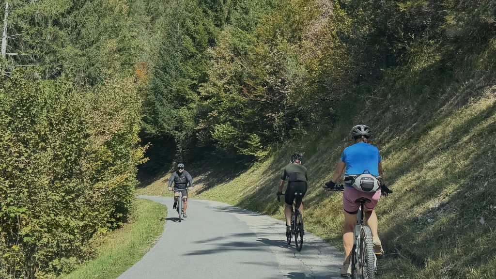 Local cyclists enjoying a scenic mountain road surrounded by forests and Alpine scenery in Tyrol, Austria.
Copy